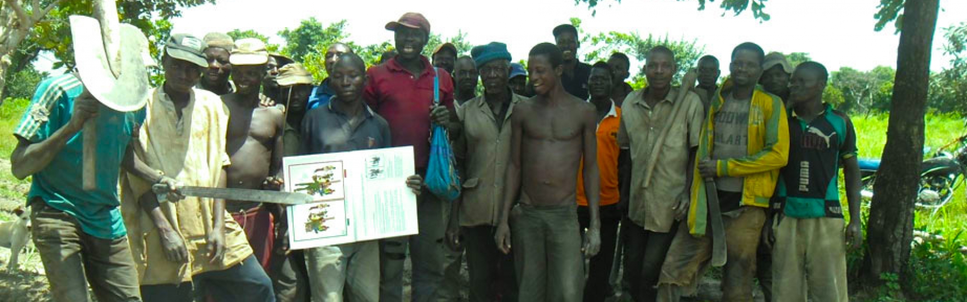 Campagne 2017 de culture de Soja Biologique