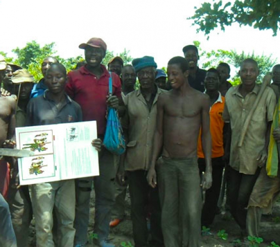 Campagne 2017 de culture de Soja Biologique