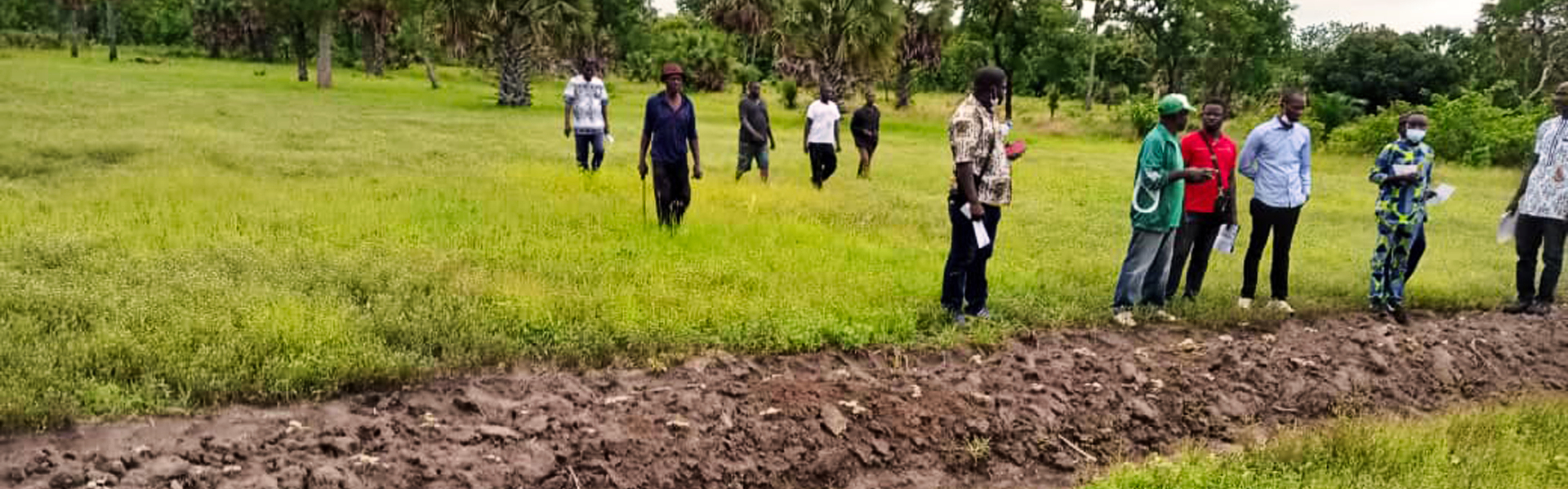 Projet d'Aménagement de bas-fonds de Type 1