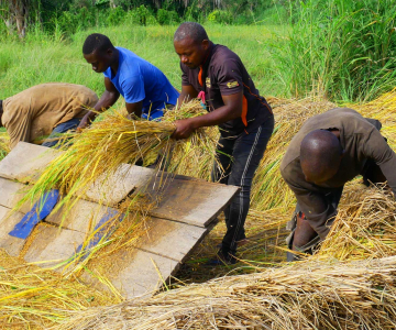 Promotion de l’Entreprenariat Durable pour le Développement des Filières Soja, Riz, Poulet et Cacao (ProEnDur)