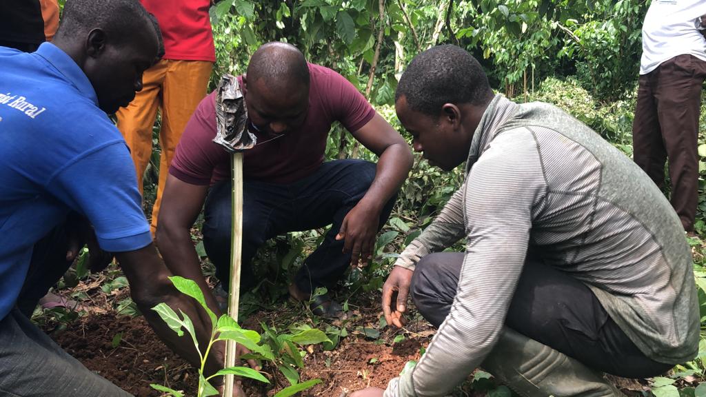 MVCP TOGO Commemoration journee national de l arbre 2023 1