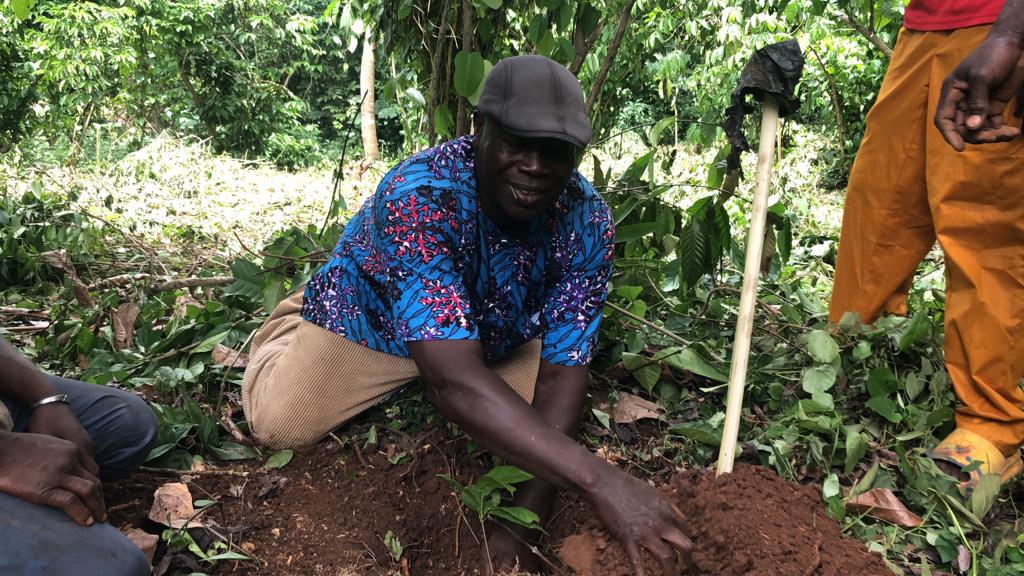 MVCP TOGO Commemoration journee national de l arbre 2023 2