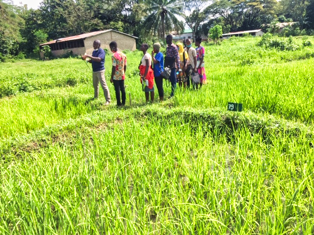 MVCP TOGO Sortie de visite des centres de formation professionnelle pour les parraines Notse 1