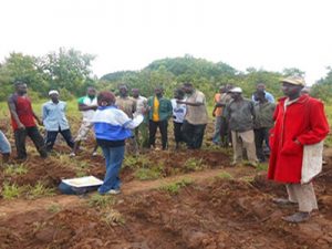 MVCP Campagne de soja biologique soja 2017 Sensibilisation