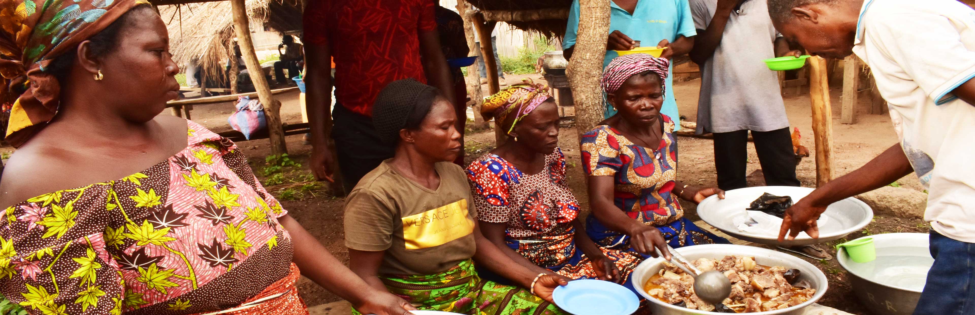 Activités & Actualités